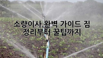 📦 소량이사 완벽 가이드: 짐 정리부터 꿀팁까지! 🍯
