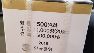 500원짜리 주화 박스 2만원어치? 득템 후기와 꿀팁 대방출! ✨